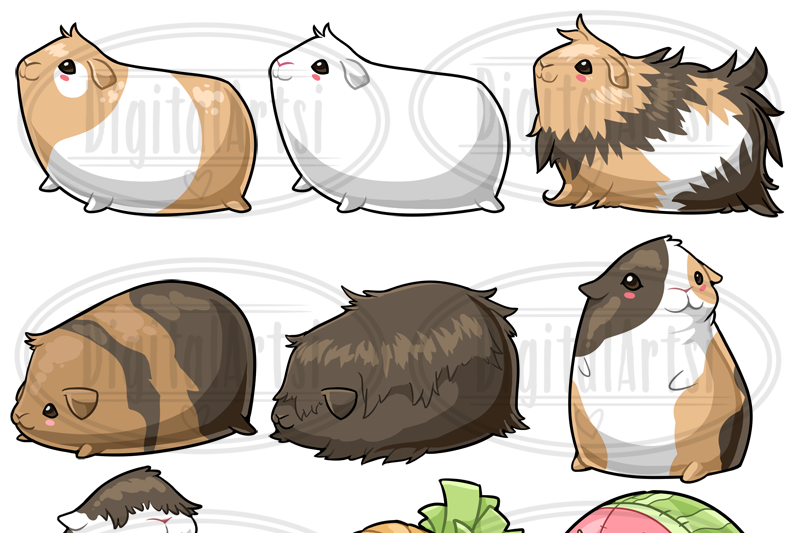 Kawaii Guinea Pigs Clipart By Digitalartsi | TheHungryJPEG.com