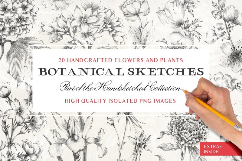 20-sketched-flower-illustrations