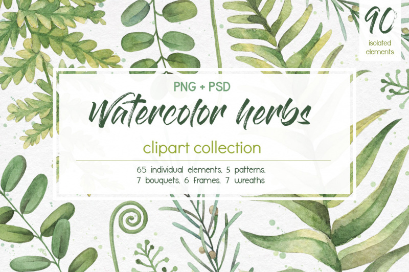 watercolor-herbs-clipart-collection