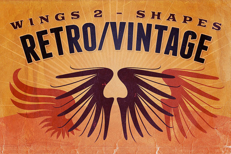 retro-vintage-shapes-wings-2
