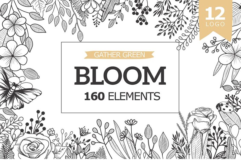bloom-collection