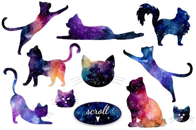 space-cats