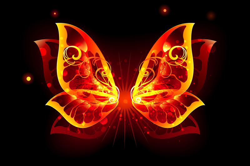fire-wings-of-butterfly