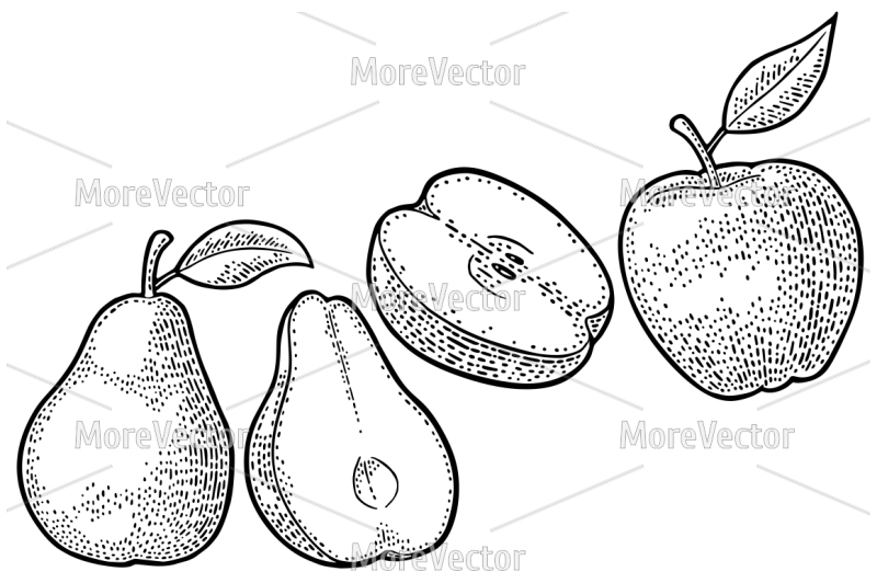 apple-pear-vintage-black-engraving-illustration-for-poster-web