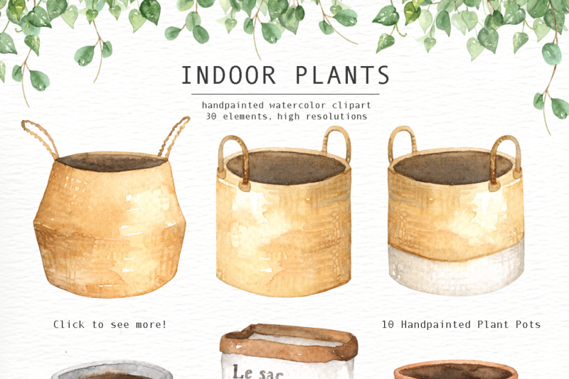 indoor-plants-watercolor-clipart