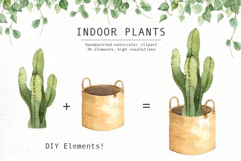 indoor-plants-watercolor-clipart