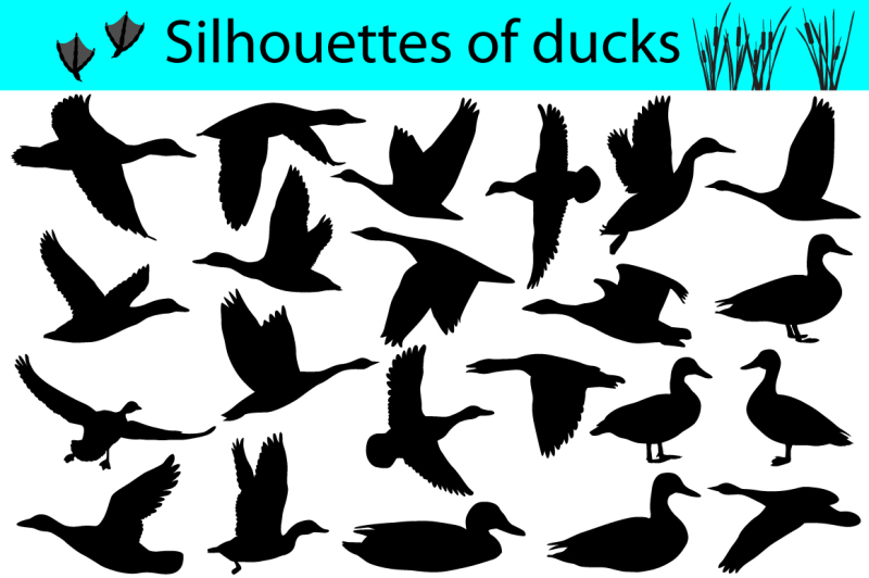 silhouettes-of-ducks