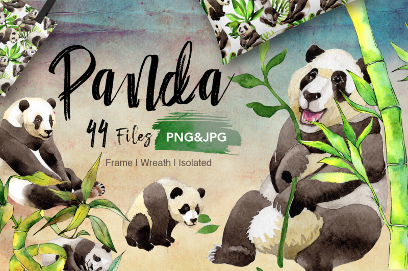 panda-wild-animal-png-watercolor-set