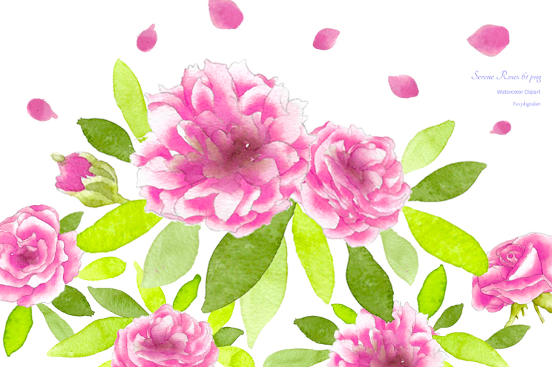rose-clip-art-wedding-watercolor-flowers