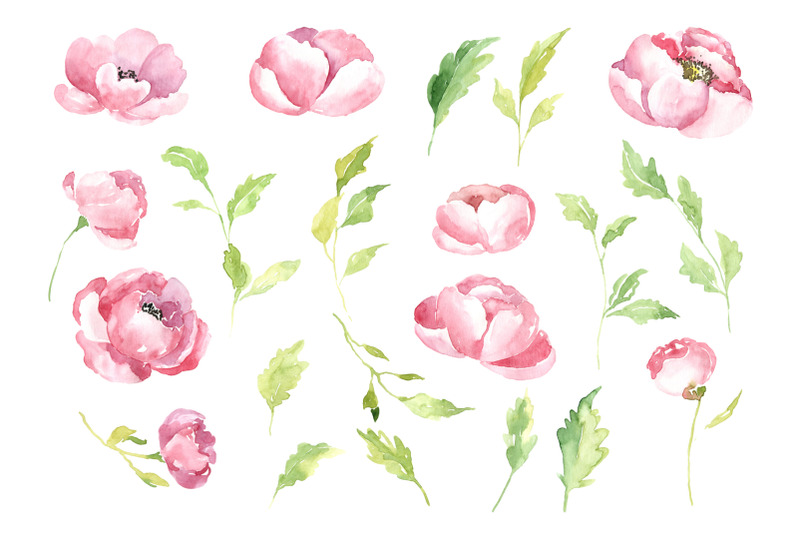 pink-watercolor-flowers-peonies-png