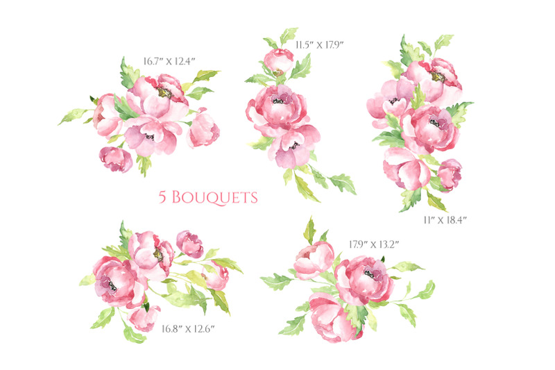 pink-watercolor-flowers-peonies-png