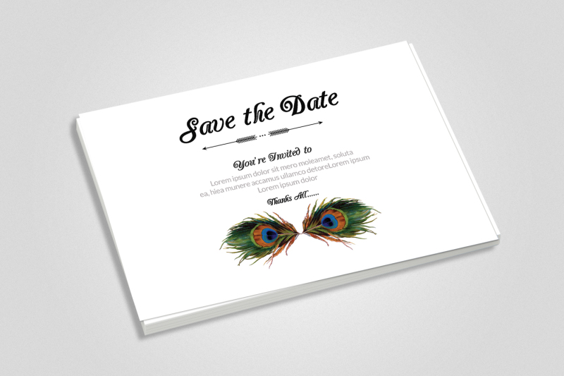 feathery-wedding-invitaion-cards