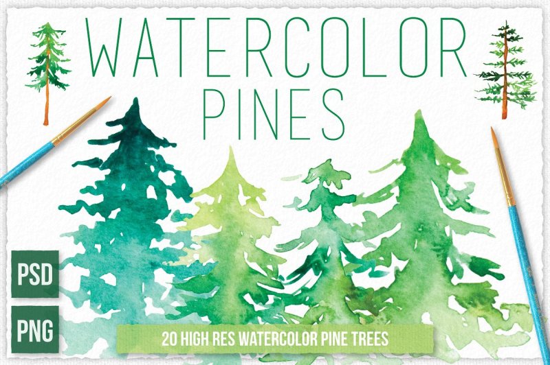 watercolor-pine-tree-graphic-elements