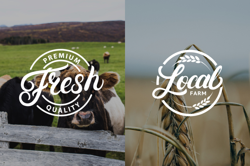20-organic-and-natural-logos