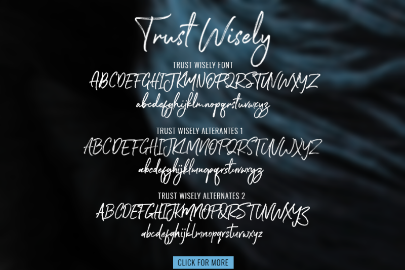 trust-wisely-font