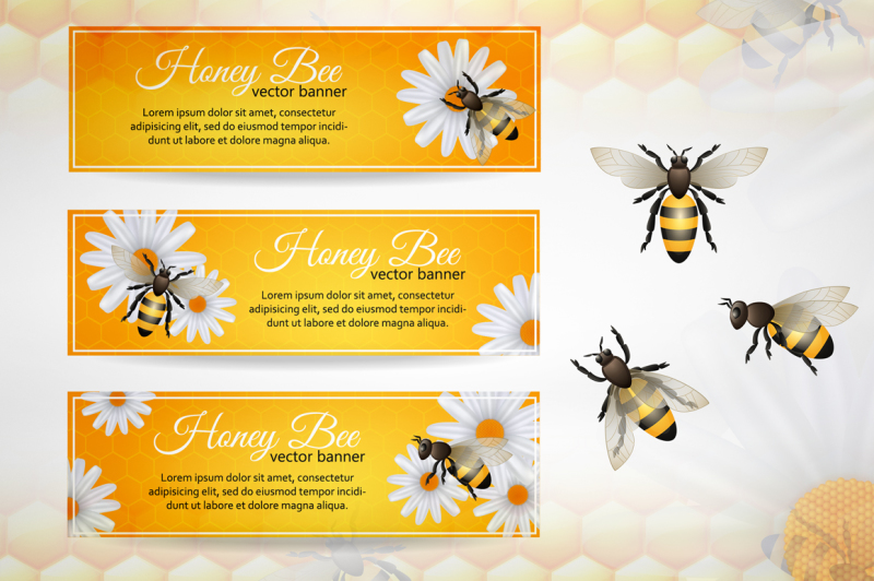 honey-bee-vector-set
