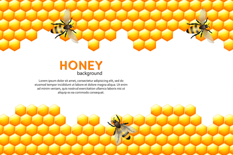 honey-bee-vector-set