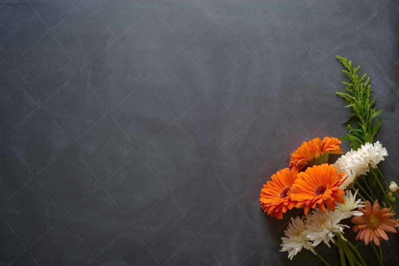 rustic-flower-photo-set-on-chalk