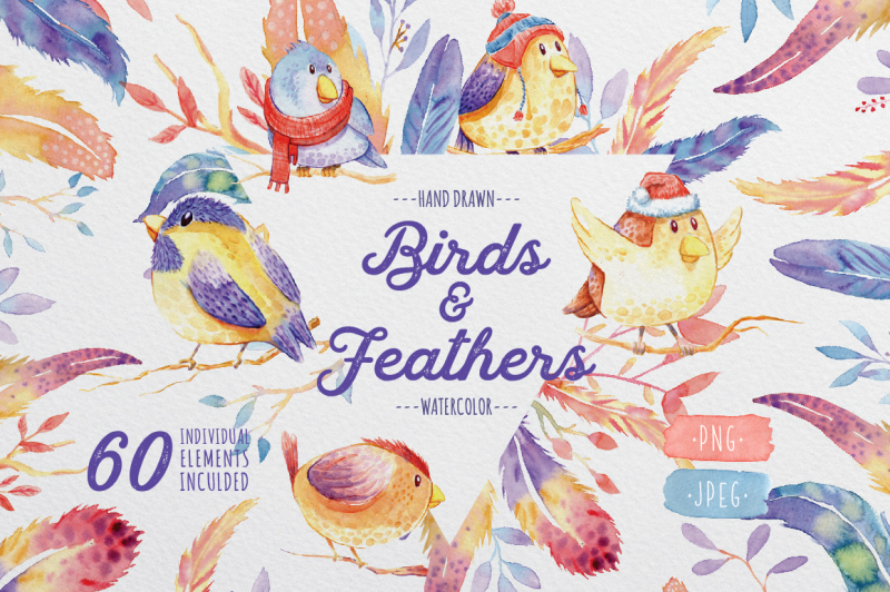 birds-and-feathers