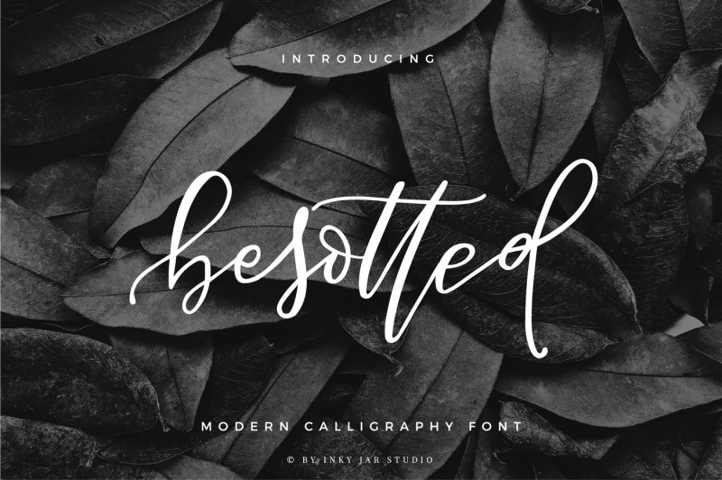 besotted-modern-calligraphy-script