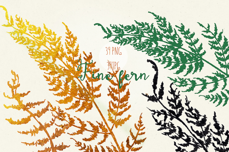 fine-fern-wtercolor-clipart