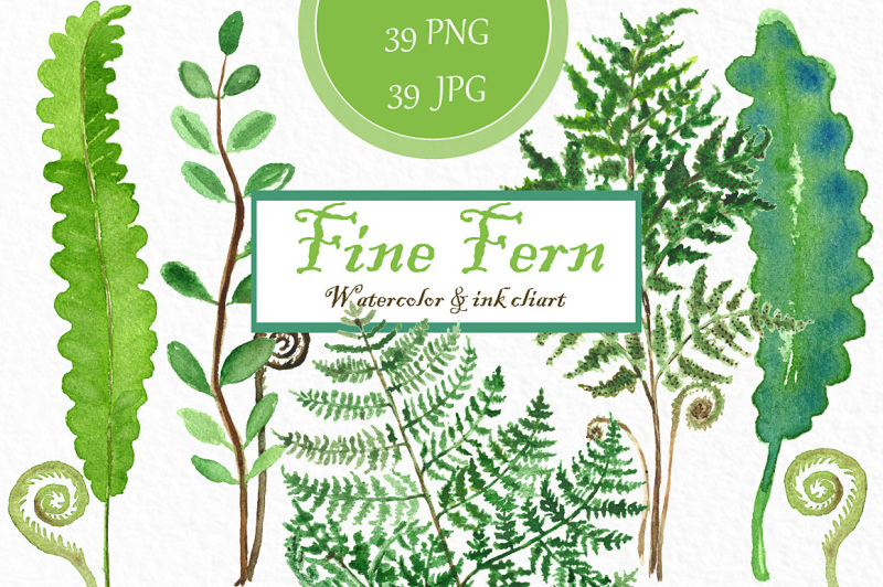 fine-fern-wtercolor-clipart