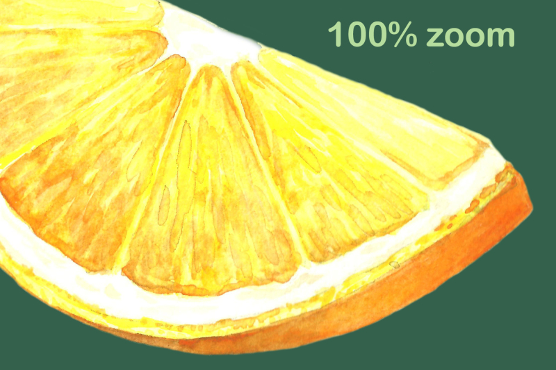 watercolor-oranges