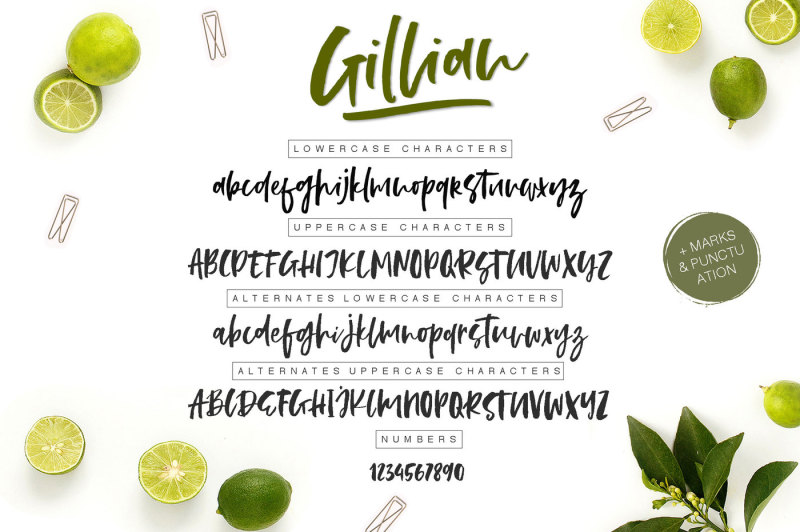 gillian-font-extras