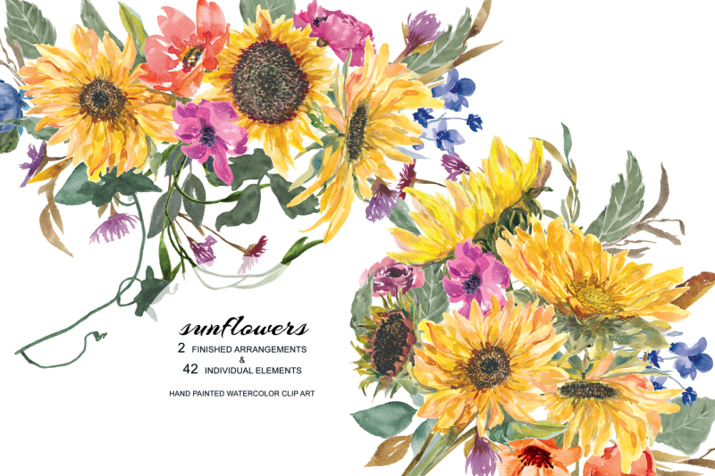 hand-painted-watercolor-sunflower-clipart-arrangements-and-separate-elements