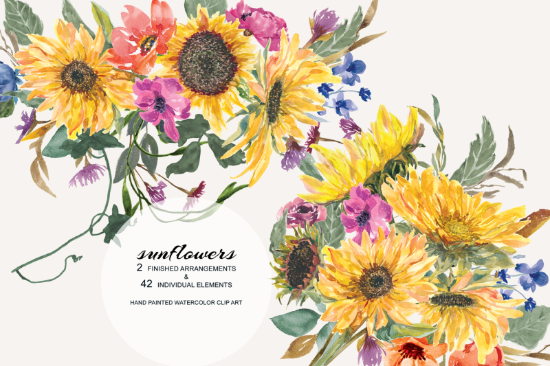 hand-painted-watercolor-sunflower-clipart-arrangements-and-separate-elements