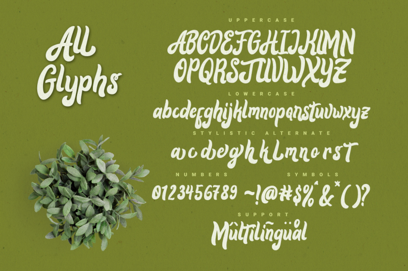 alora-typeface