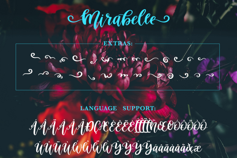 Mirabelle Script Font With Extras By Qilli Design Thehungryjpeg Com
