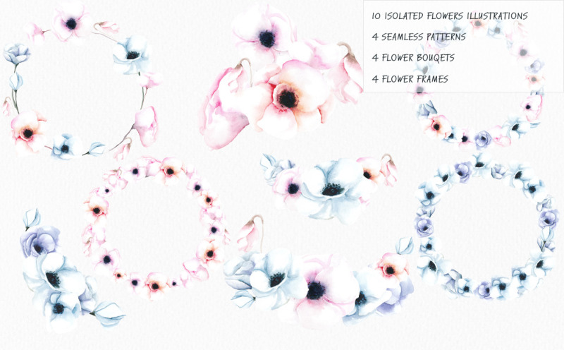 anemone-watercolor-illustration