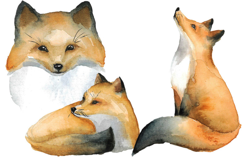 friendly-fox-forest-set