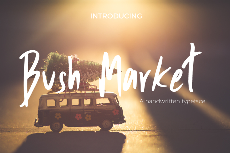 bush-market-script-font