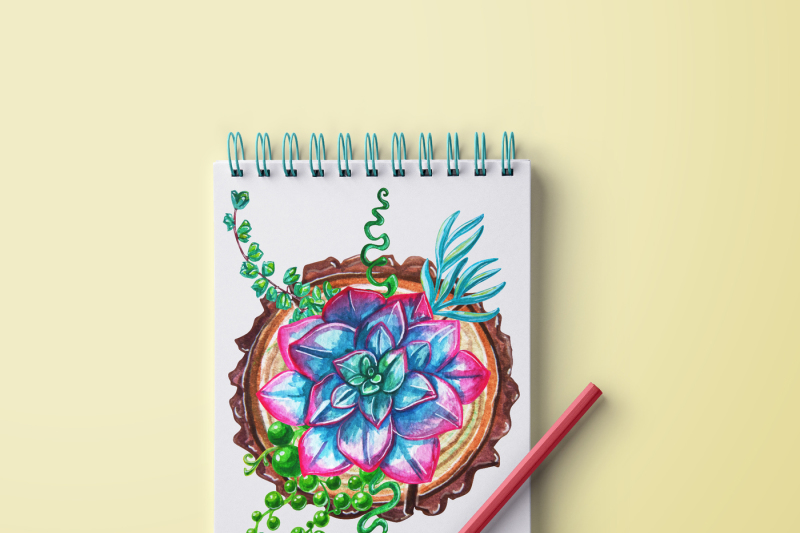 watercolor-succulent-plants-clipart