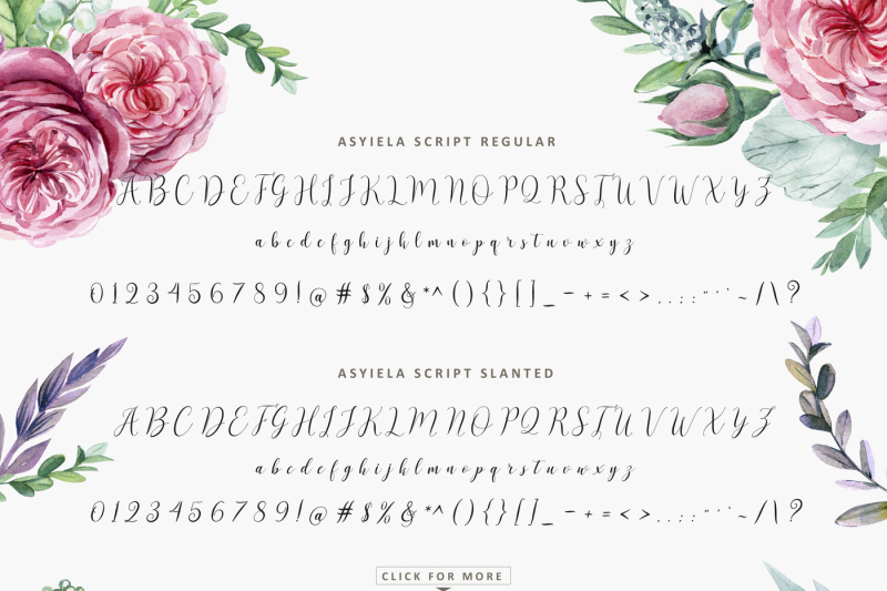 Asyiela Script Font Bundle By Aqr Typeface Thehungryjpeg Com