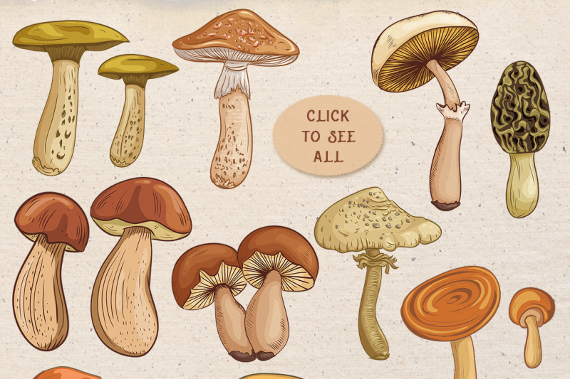 vintage-mushrooms-set