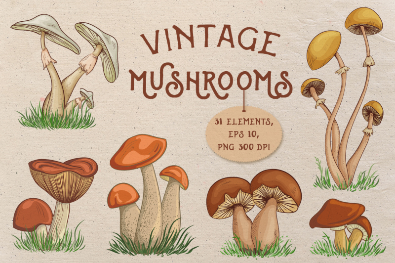 vintage-mushrooms-set