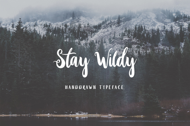stay-wildy