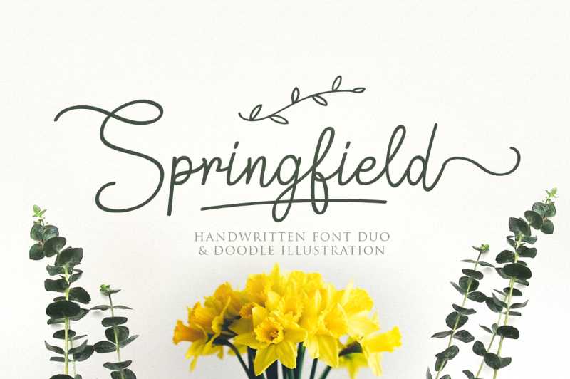 springfield-fontduo-extras