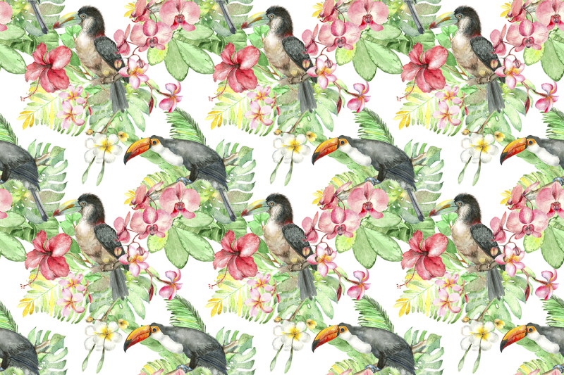 tropic-bird-watercolor-collection