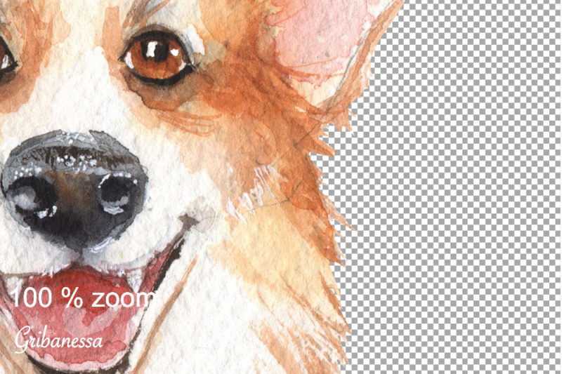 corgi-watercolor-dog-png