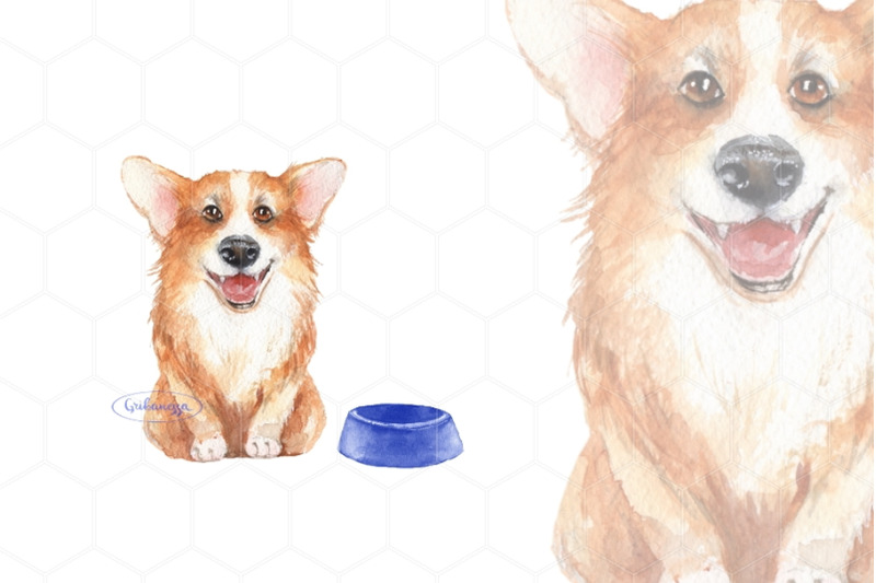 corgi-watercolor-dog-png