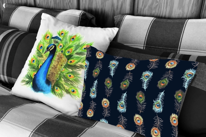 watercolor-clipart-peacock-birds-and-feathers