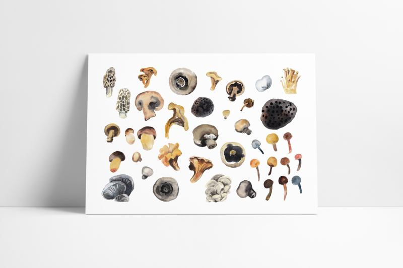 watercolor-mushroom-season