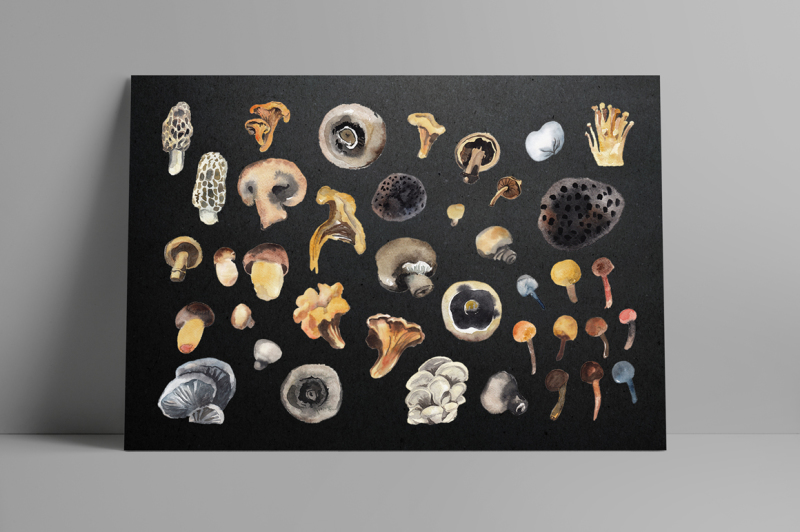 watercolor-mushroom-season