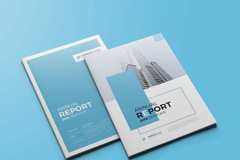 the-blue-annual-report