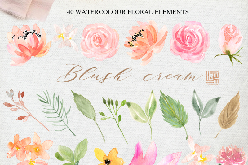 blush-cream-watercolour-flowers-digital-clipart-hand-drawn