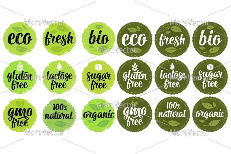 gluten-lactose-sugar-free-lettering-with-leaf-cube-drop-vector-white-vintage-sign